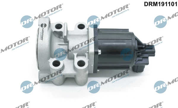 DRM191101 Dr.motor