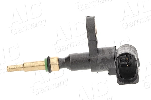 56569 AIC