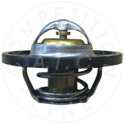 Termostat Renault 19