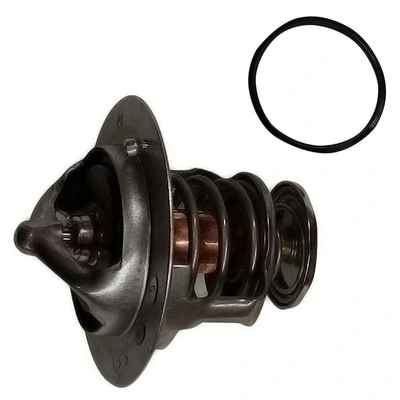 TOPT3106005 Bapmic