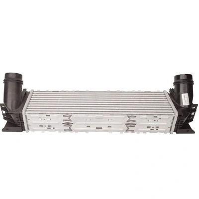 TOPT1210009 Bapmic