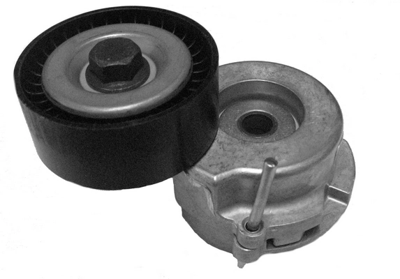 CT1003 Coram