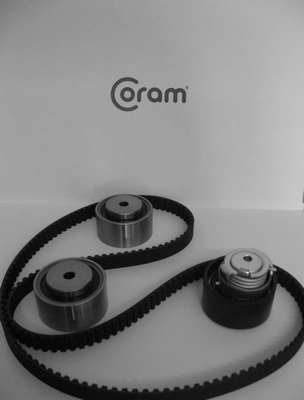 Do koszyka Pasek rozrządu, zestaw Land Rover Range Rover SPORT I L320