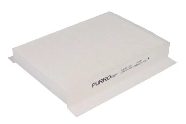 PURPC1021 Purro