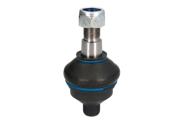 RH031001 Reinhoch