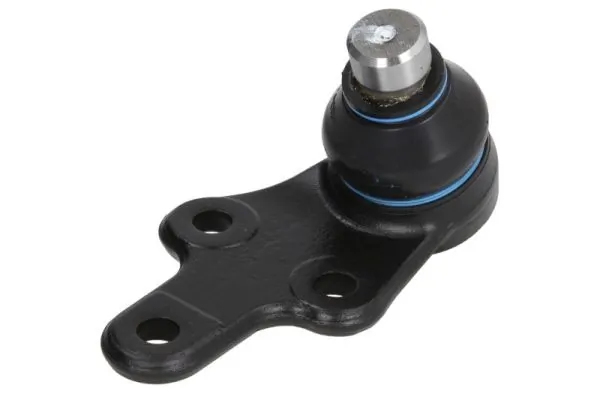 RH034014 Reinhoch
