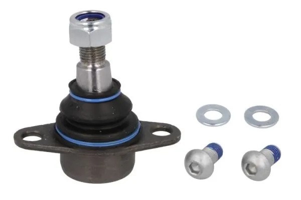 RH033001 Reinhoch