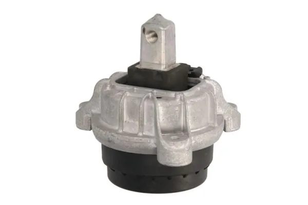 RH113047 Reinhoch