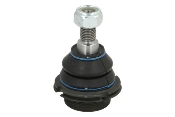 RH032028 Reinhoch