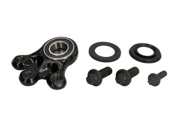 RH032038 Reinhoch