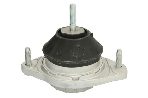 RH110021 Reinhoch