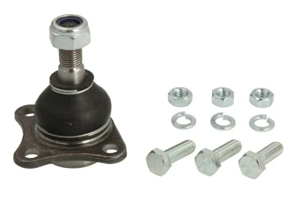 RH031003 Reinhoch