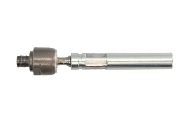 RH022021 Reinhoch