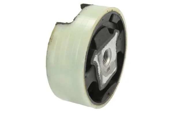 RH110113 Reinhoch