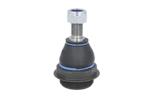RH032042 Reinhoch