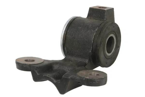 RH141047 Reinhoch