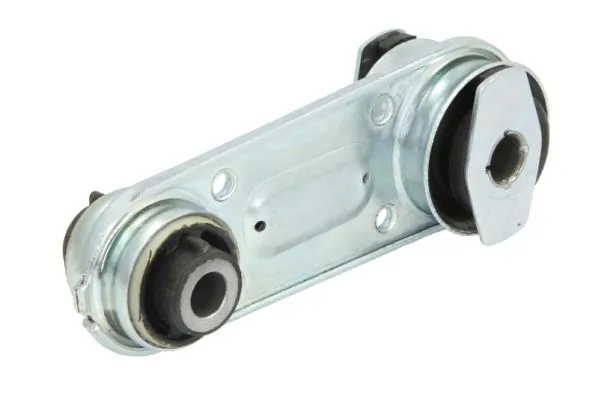 RH112163 Reinhoch