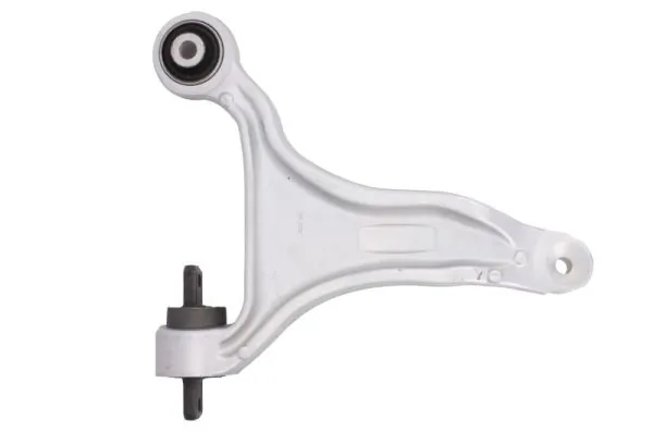 RH044031 Reinhoch