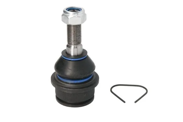 RH030035 Reinhoch