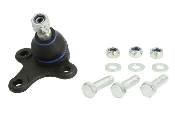 RH030016 Reinhoch