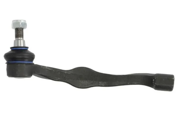 RH010028 Reinhoch