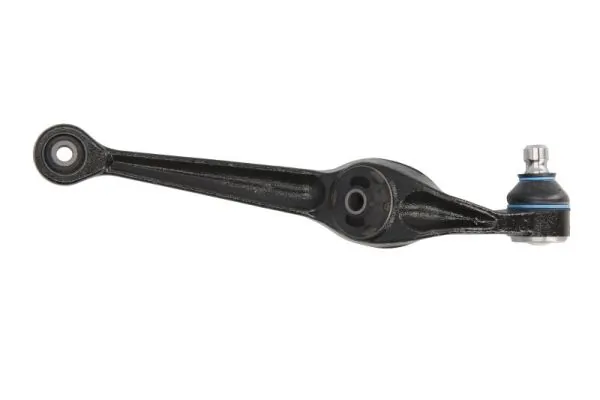 RH042002 Reinhoch
