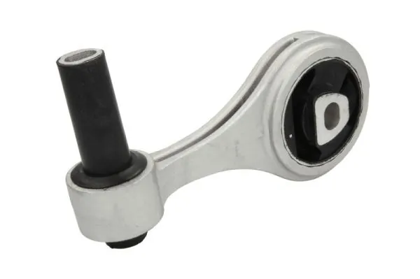 RH111033 Reinhoch