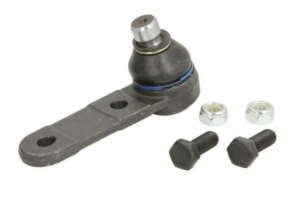 RH034002 Reinhoch