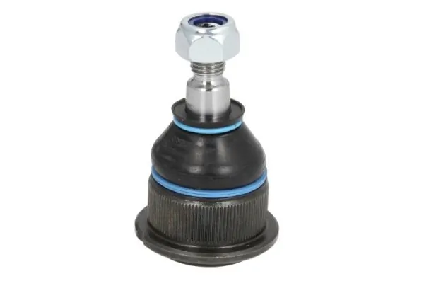 RH033005 Reinhoch