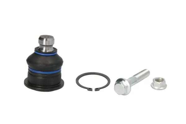 RH032002 Reinhoch