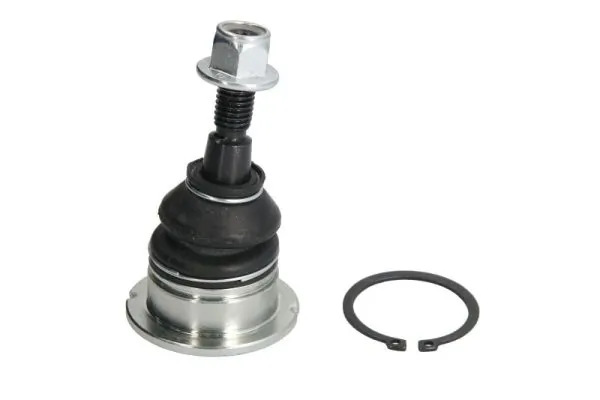 RH035012 Reinhoch