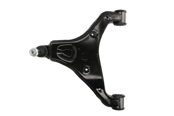 RH043051 Reinhoch