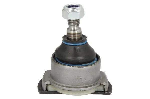 RH033010 Reinhoch