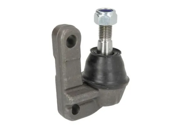 RH035016 Reinhoch