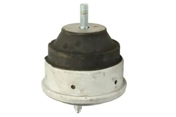 RH113021 Reinhoch