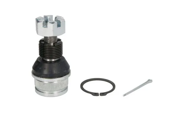 RH036002 Reinhoch
