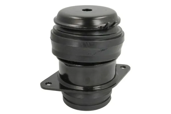 RH110107 Reinhoch