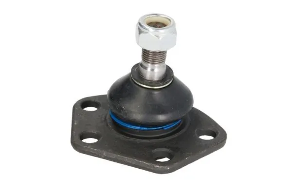 RH032034 Reinhoch