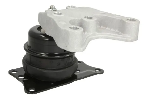 RH110083 Reinhoch