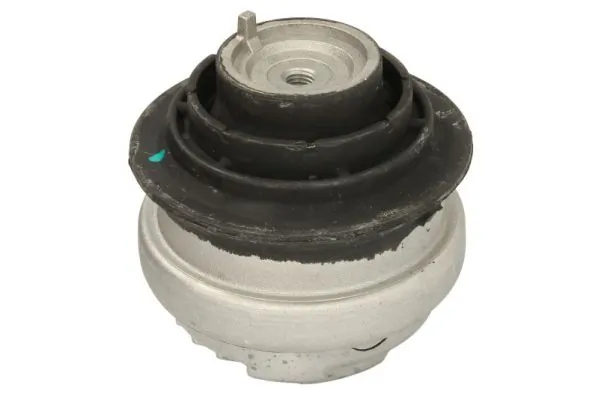 RH113082 Reinhoch
