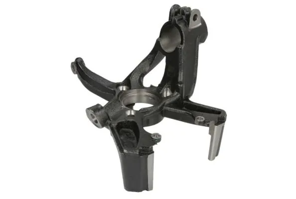 RH080061 Reinhoch