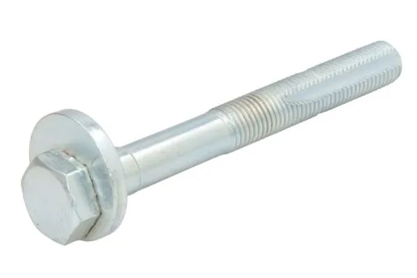 RH155021 Reinhoch