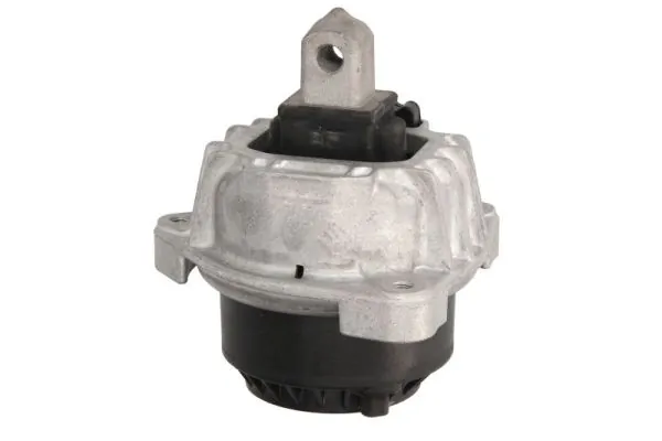 RH113083 Reinhoch