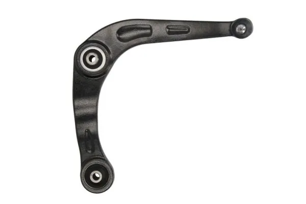 RH042033 Reinhoch