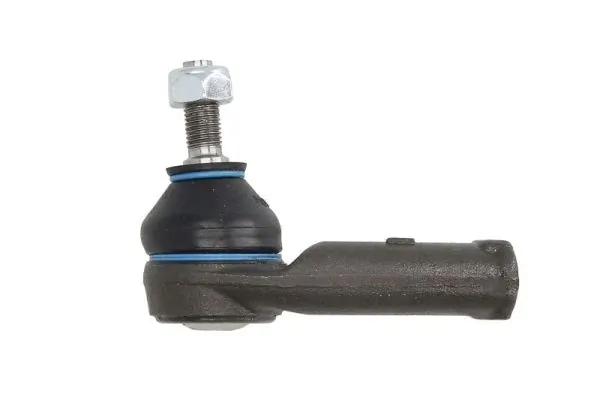 RH011007 Reinhoch