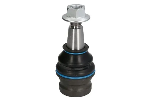 RH030039 Reinhoch