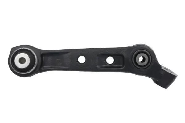 RH043101 Reinhoch