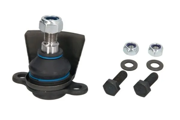 RH034017 Reinhoch