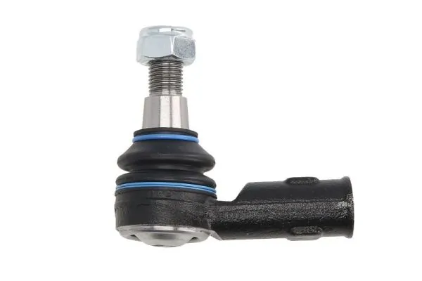 RH013019 Reinhoch