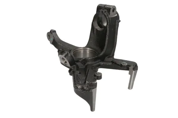 RH080011 Reinhoch